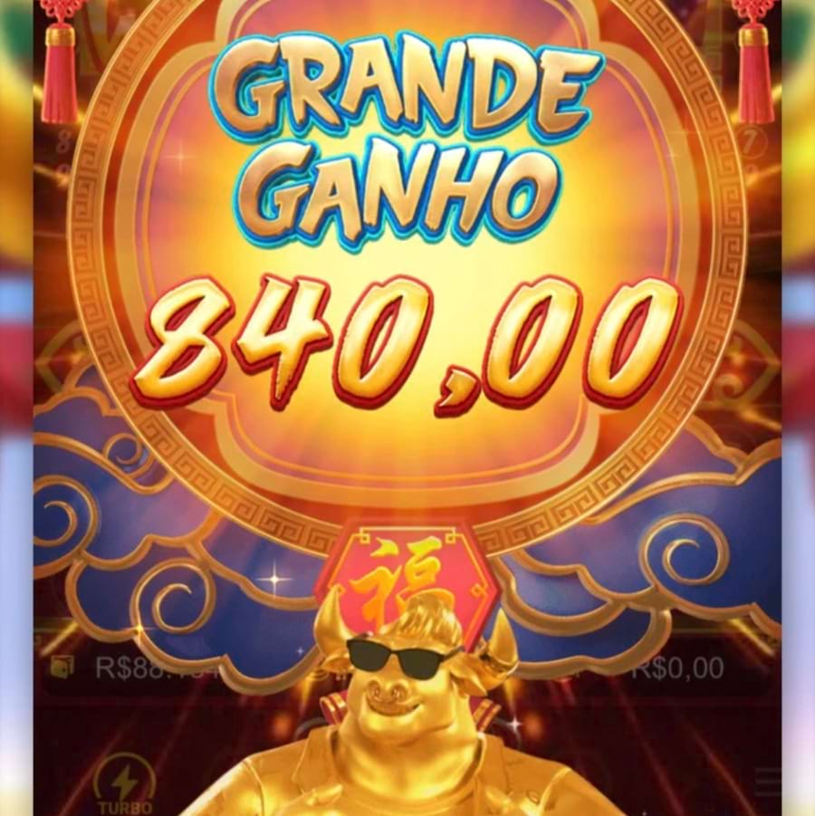 caminho da sorte jogo do bicho