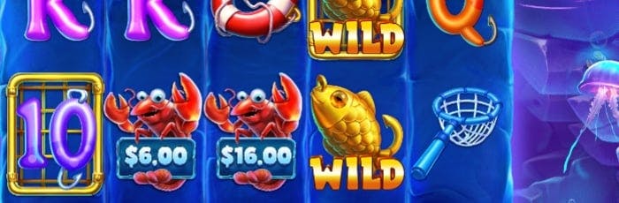 warframe slot cost